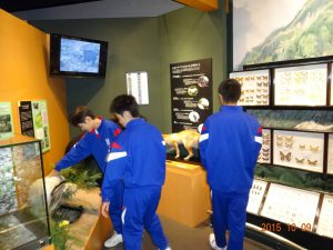 立山カルデラ砂防博物館を見学しました1